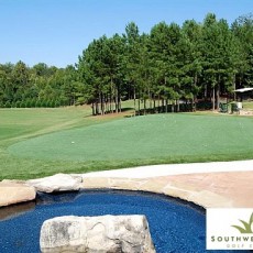 Pond Green2