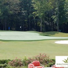 Pond Green4
