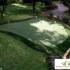 db_01
